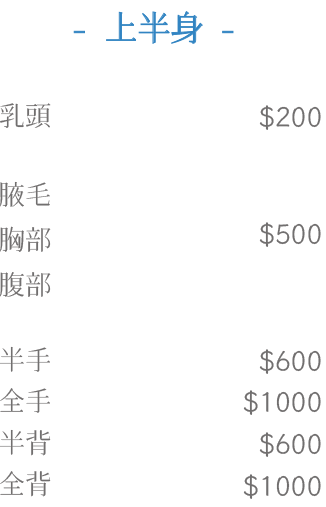 上半身:乳頭、腋毛、胸部、腹部、半手、全手、半背、全背