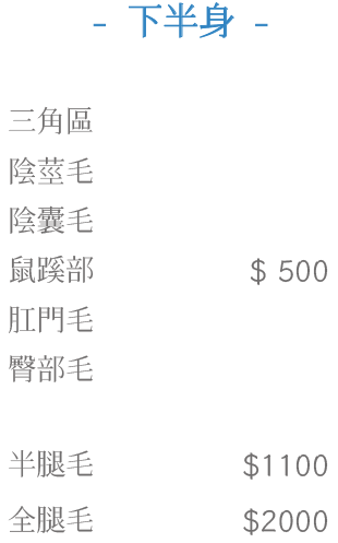 下半身:三角區、陰莖毛、陰囊毛、鼠蹊部、肛門毛、臀部毛、半腿毛、全腿毛